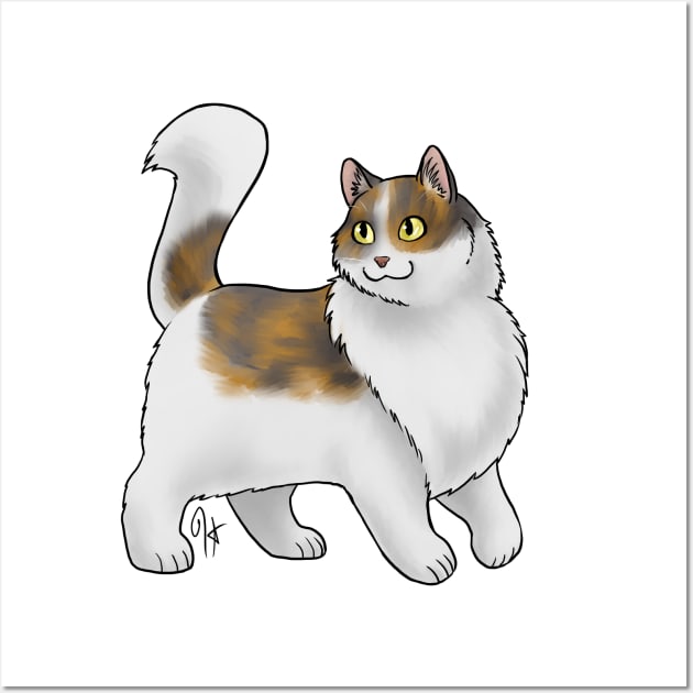 Calico angora cat on sale